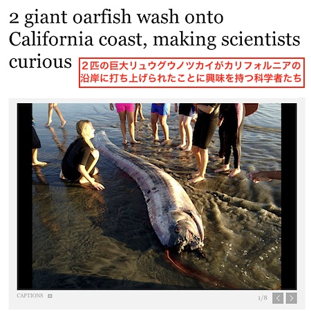 oarfish-2.jpg